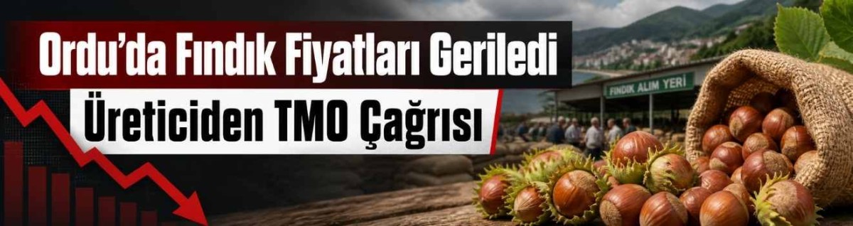 Ordu’da Fındık Fiyatları Geriledi Üreticiden TMO Çağrısı